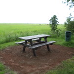 Picknicktafel Westerdijkshorn